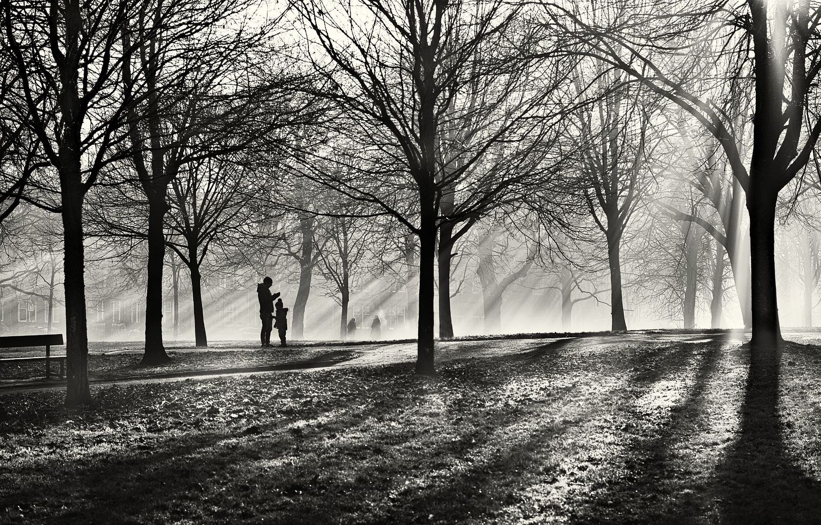 Rayonism. Tribute to Mikhail Larionov. Glasgow, 2020